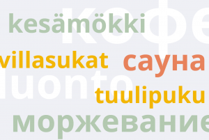 Комфорт по-фински в десяти понятиях: от кофе и вязания до моржевания и сауны